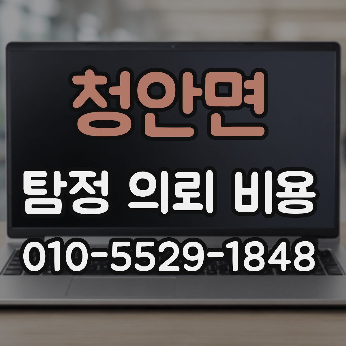 청안면 탐정 의뢰 비용