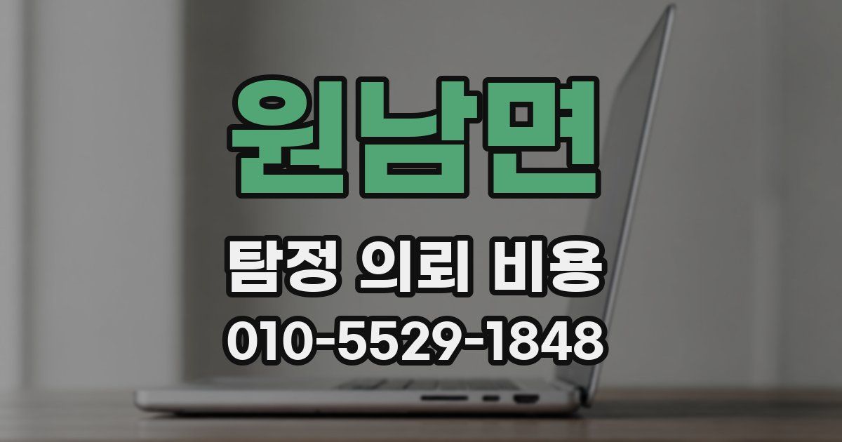 원남면 탐정 의뢰 비용