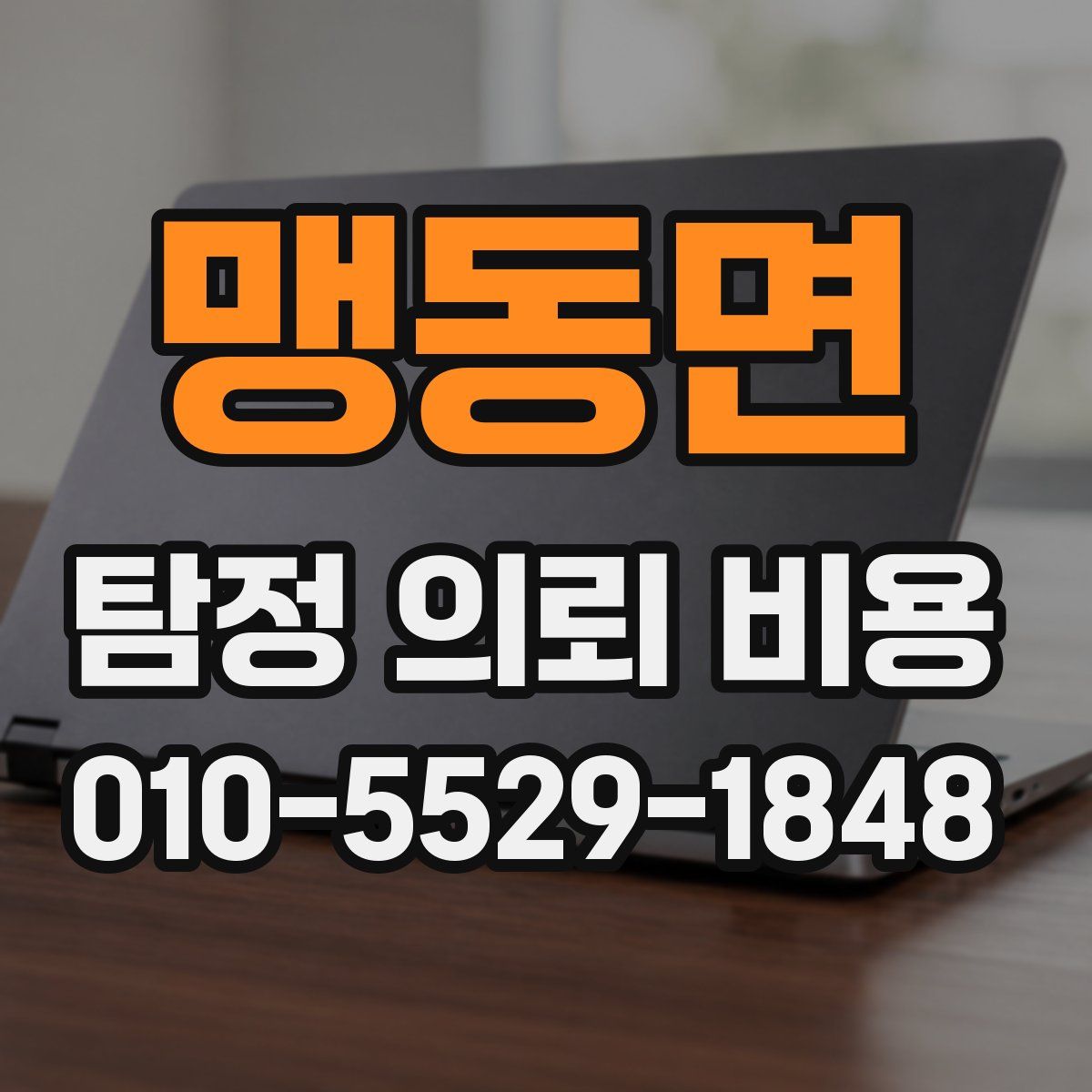 맹동면 탐정 의뢰 비용