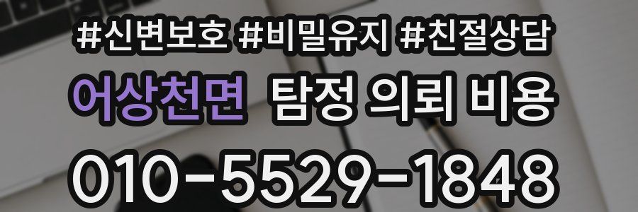 어상천면 탐정 의뢰 비용