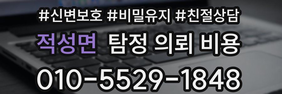 적성면 탐정 의뢰 비용