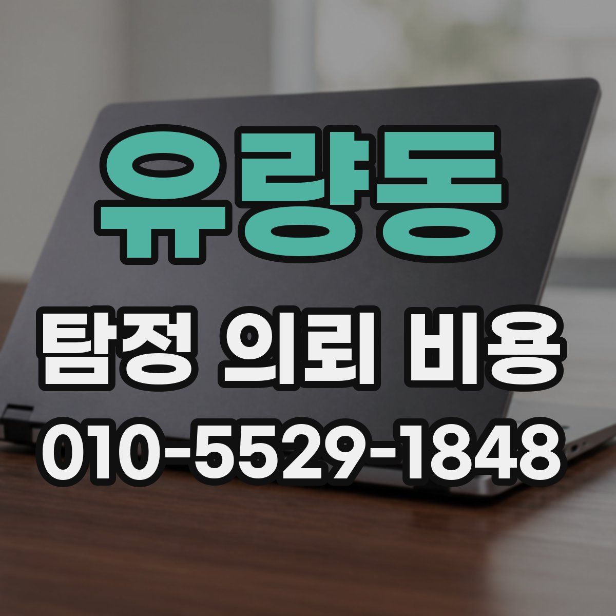 유량동 탐정 의뢰 비용