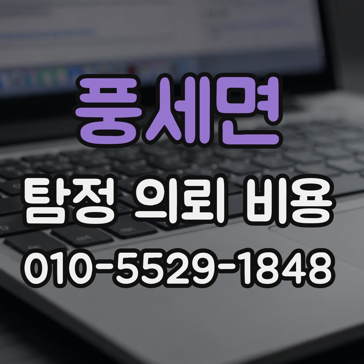 풍세면 탐정 의뢰 비용