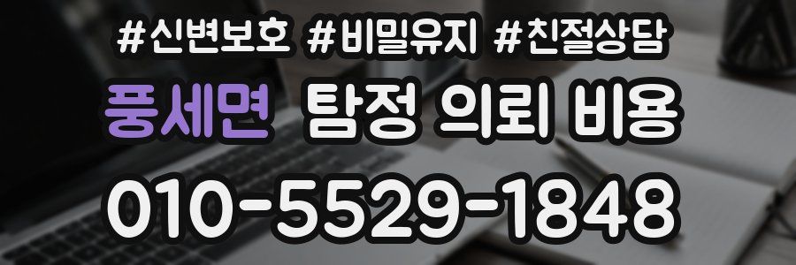 풍세면 탐정 의뢰 비용