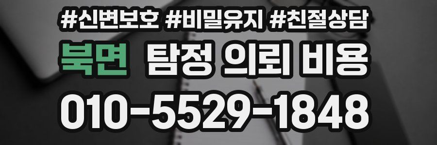 북면 탐정 의뢰 비용