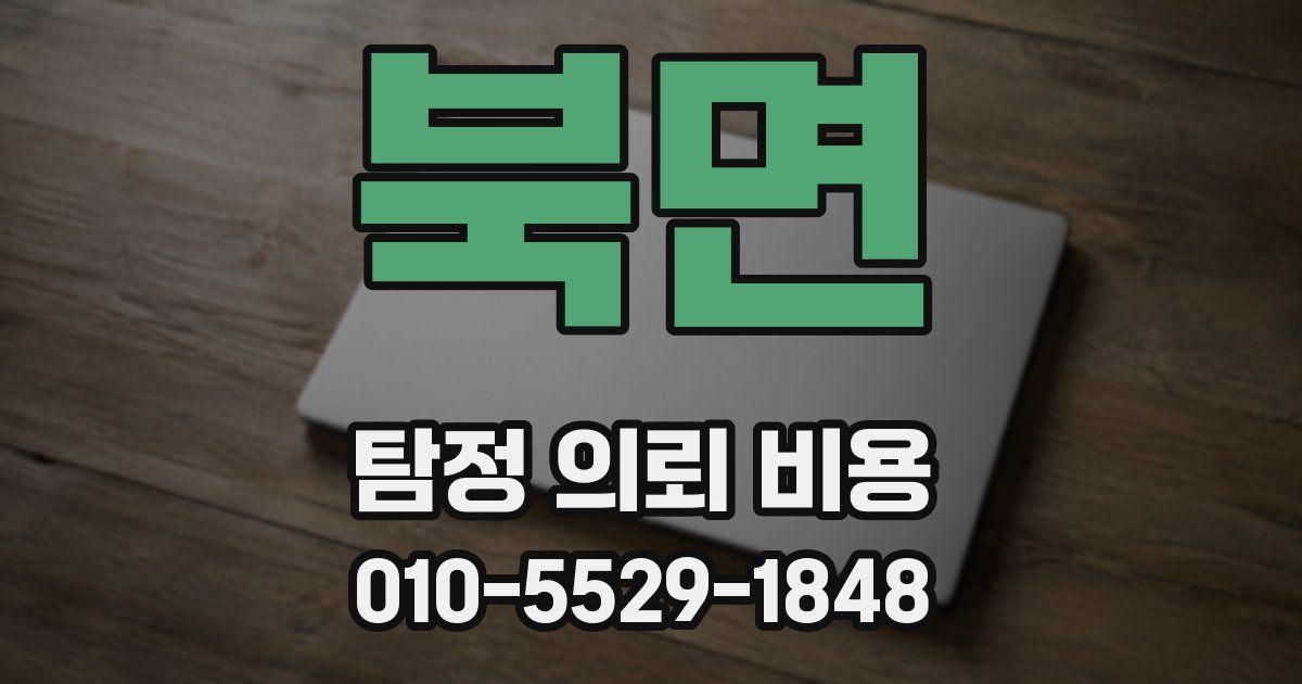 북면 탐정 의뢰 비용