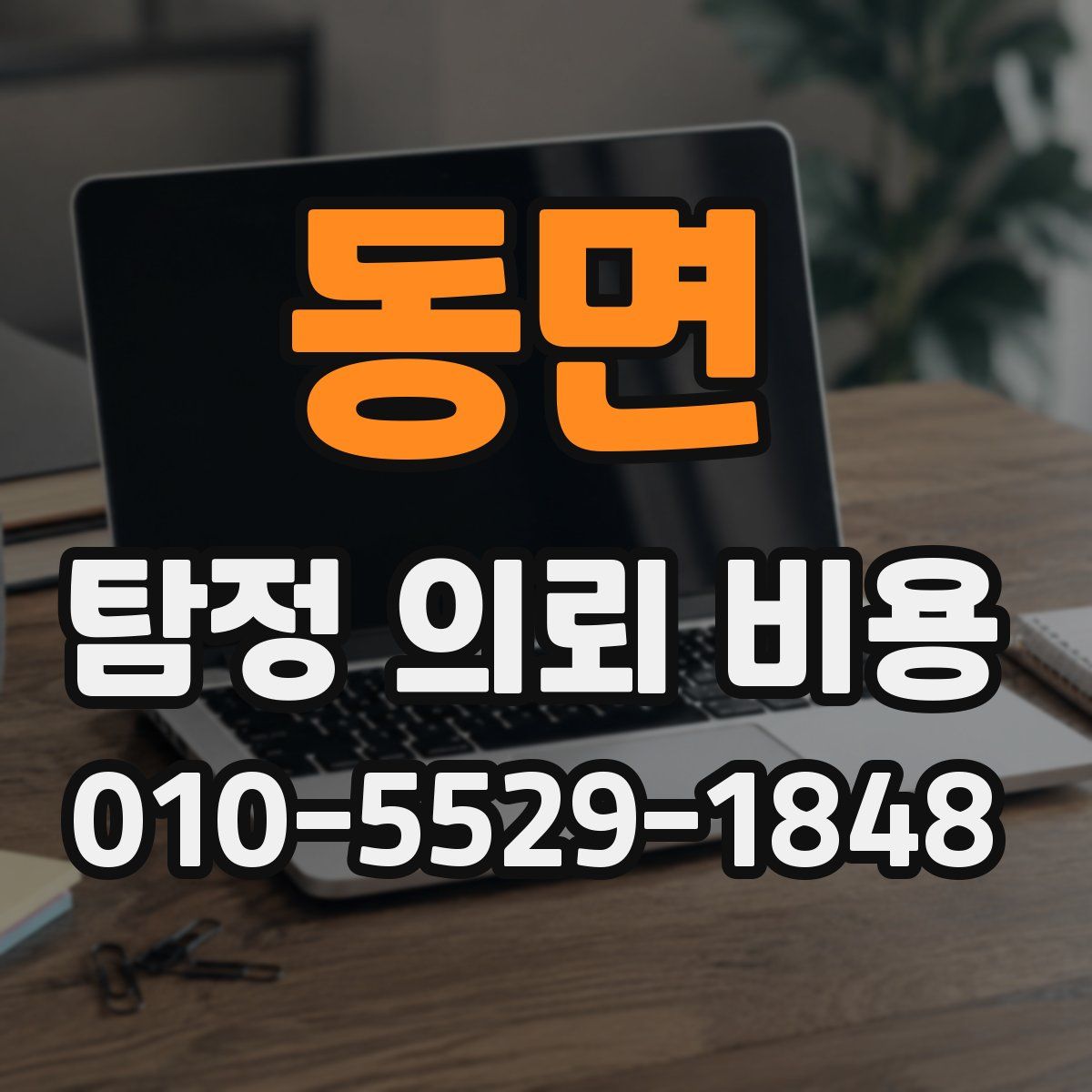 동면 탐정 의뢰 비용