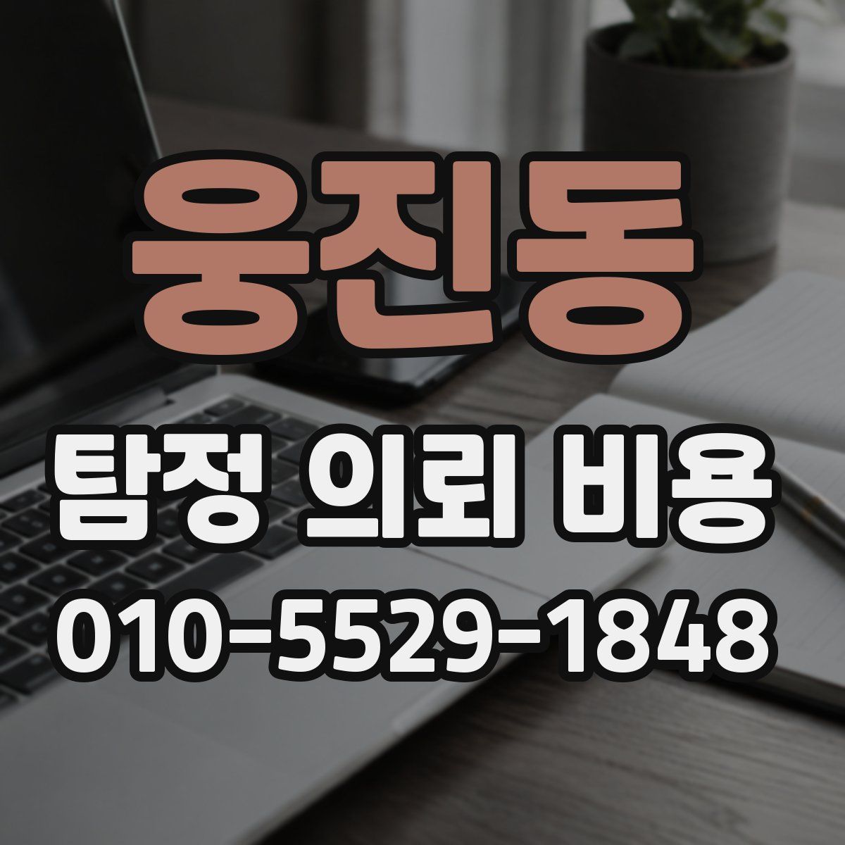 웅진동 탐정 의뢰 비용
