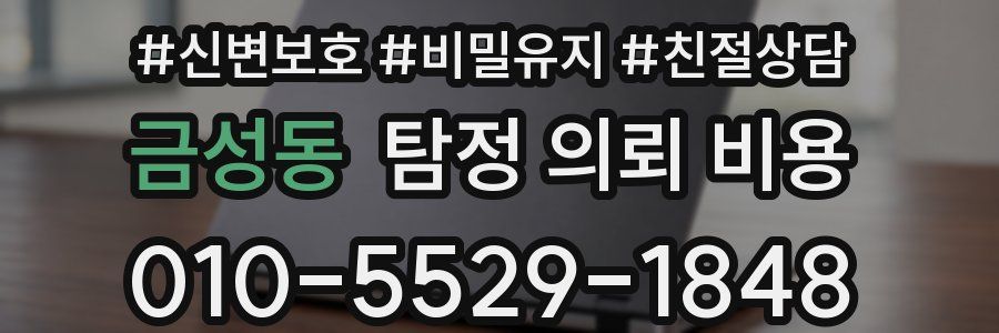 금성동 탐정 의뢰 비용
