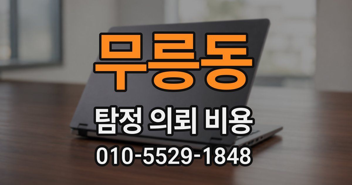 무릉동 탐정 의뢰 비용
