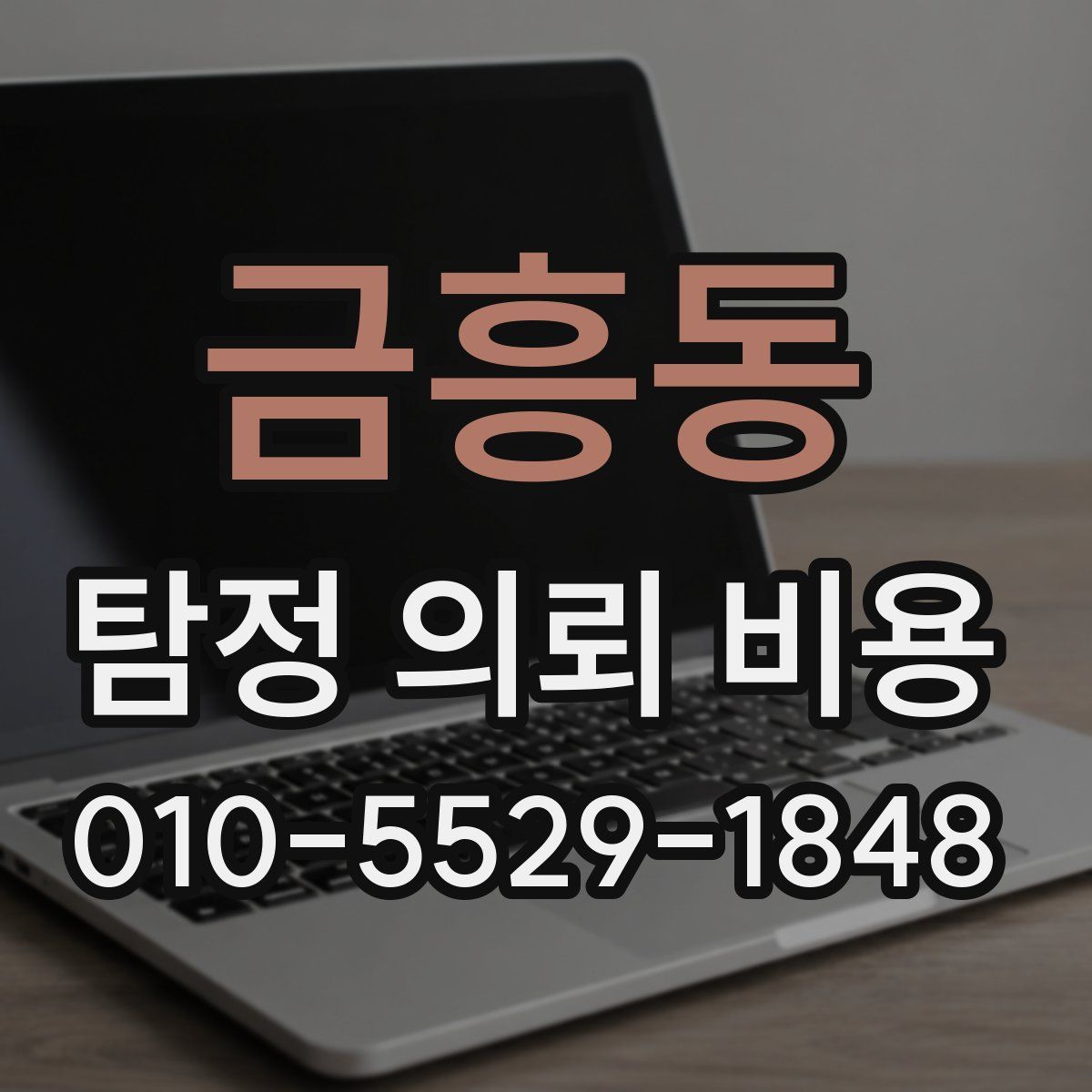 금흥동 탐정 의뢰 비용