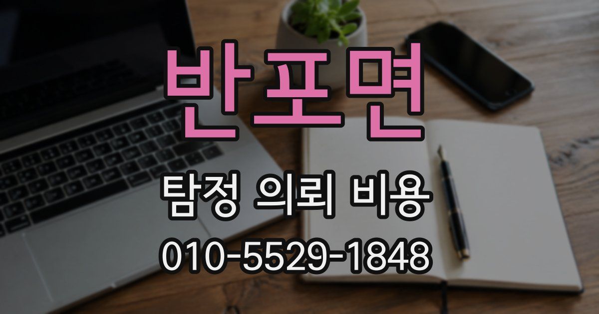 반포면 탐정 의뢰 비용