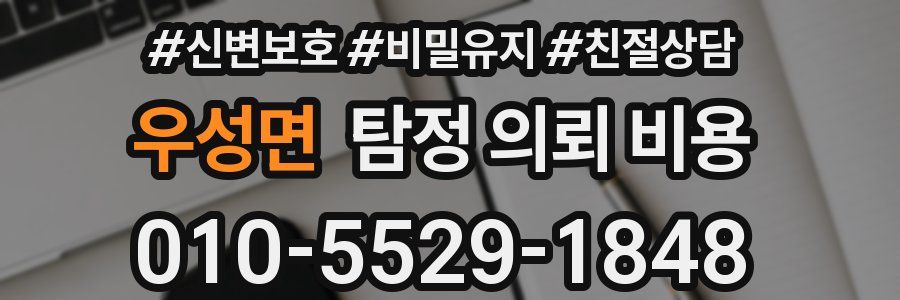 우성면 탐정 의뢰 비용
