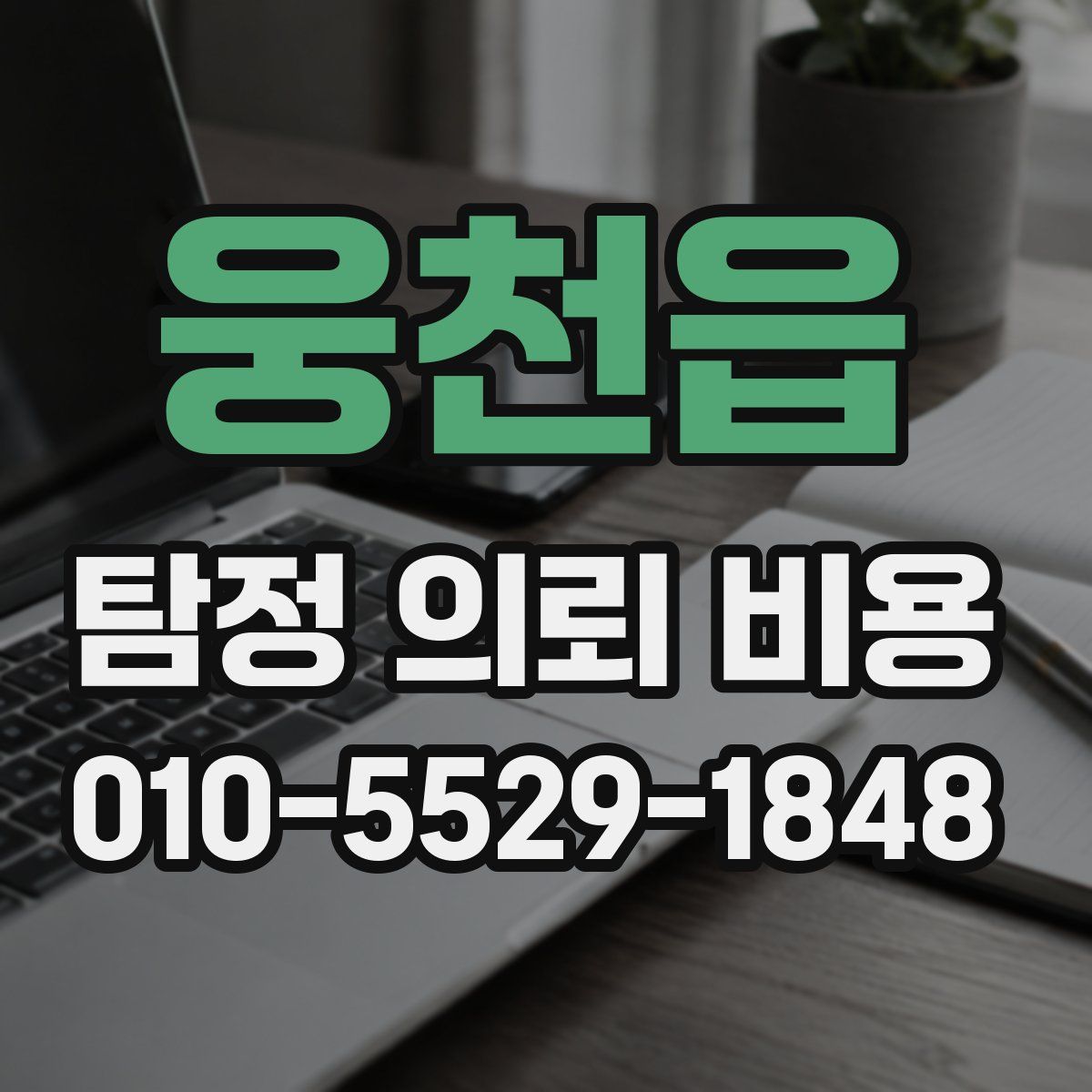 웅천읍 탐정 의뢰 비용