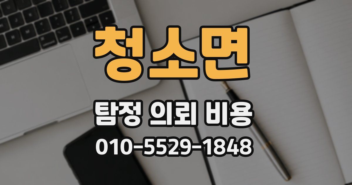 청소면 탐정 의뢰 비용