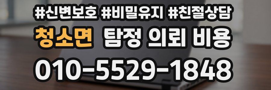 청소면 탐정 의뢰 비용
