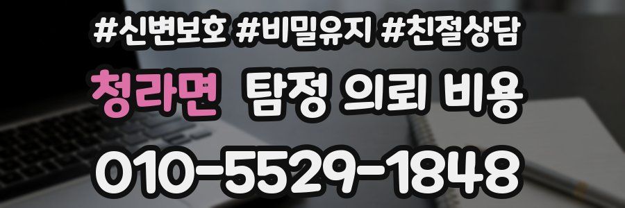 청라면 탐정 의뢰 비용