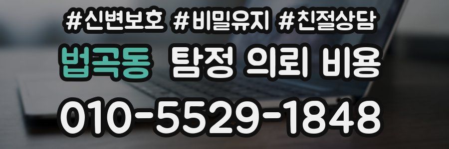 법곡동 탐정 의뢰 비용