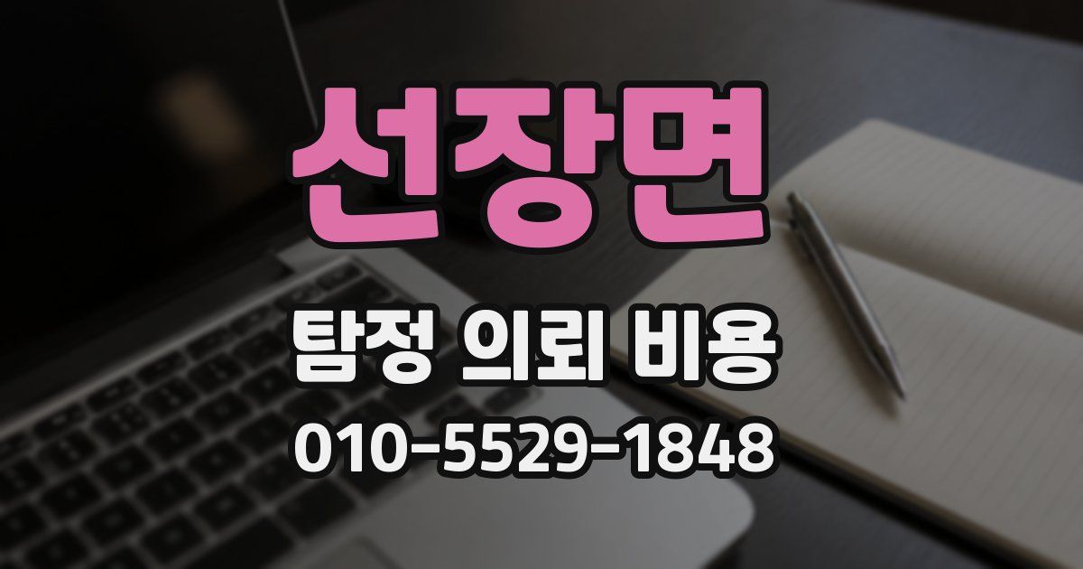 선장면 탐정 의뢰 비용
