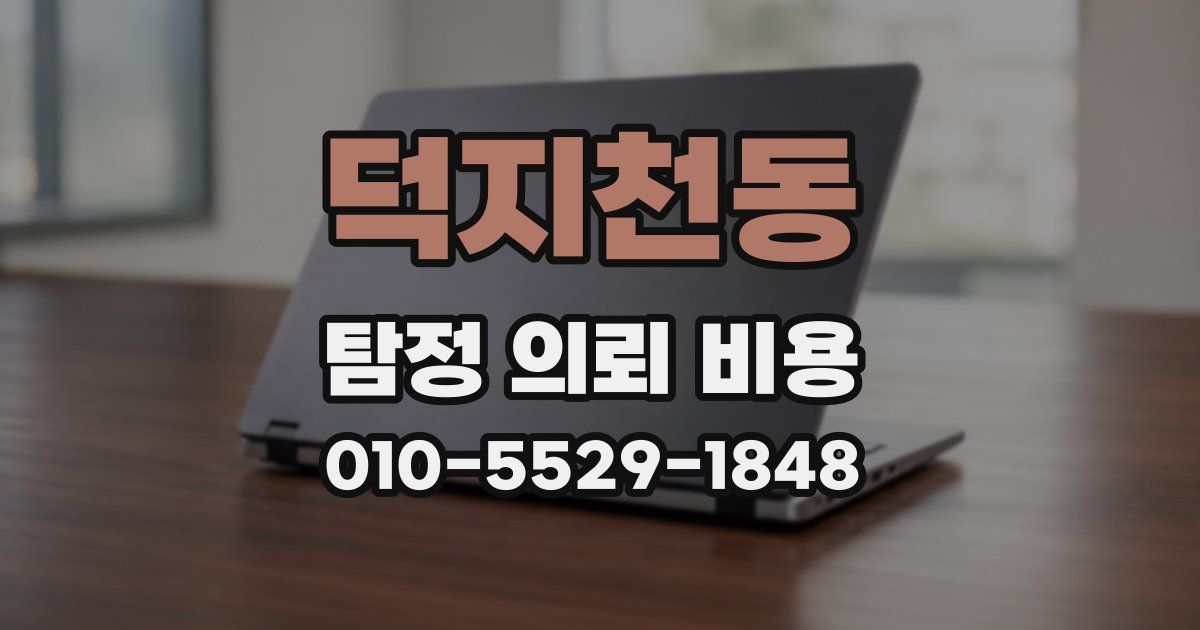 덕지천동 탐정 의뢰 비용