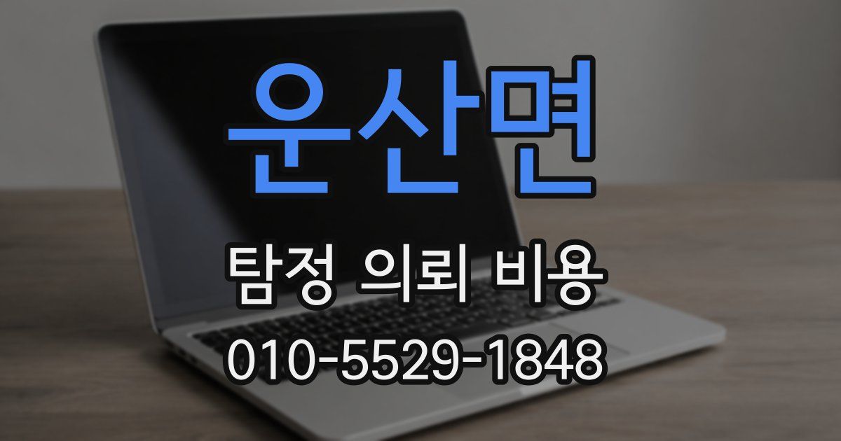 운산면 탐정 의뢰 비용
