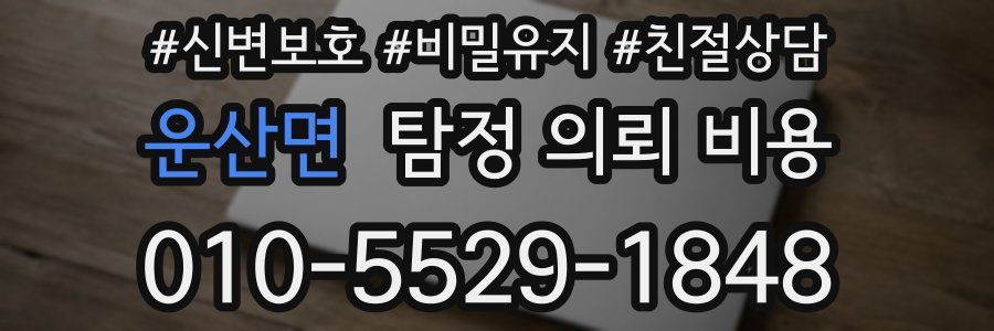 운산면 탐정 의뢰 비용