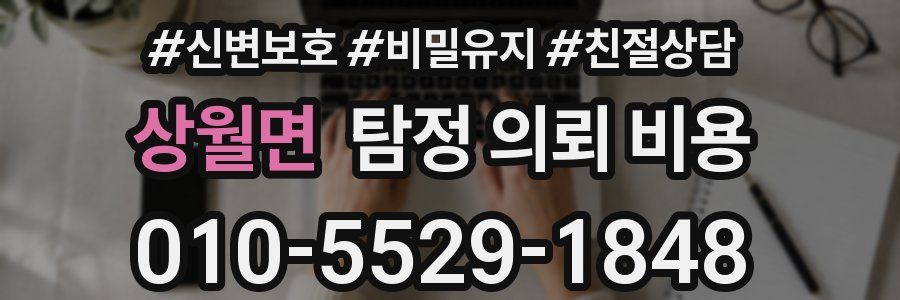 상월면 탐정 의뢰 비용