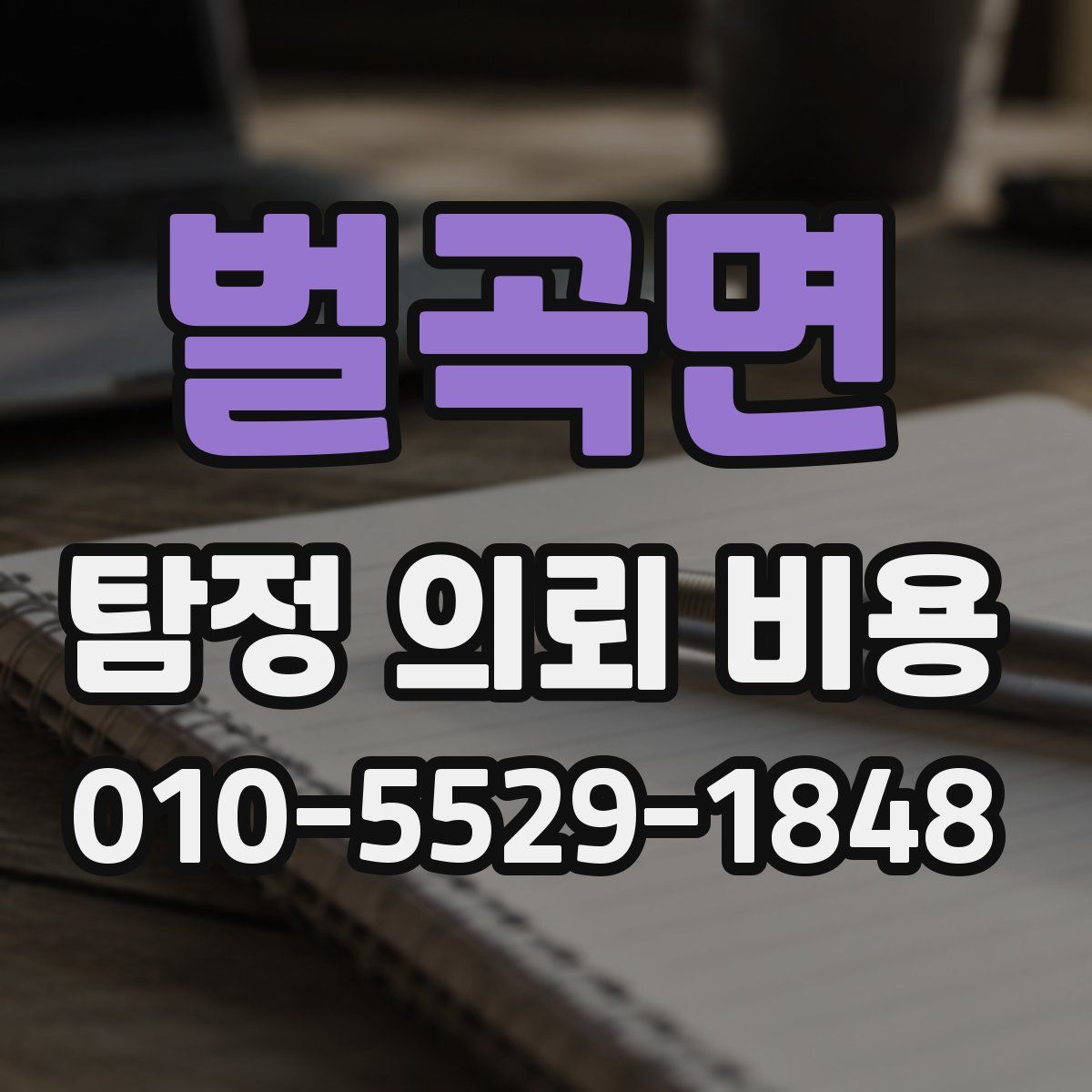벌곡면 탐정 의뢰 비용