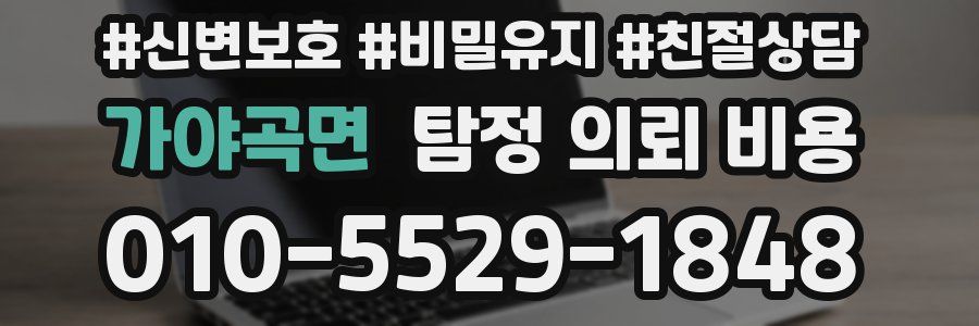 가야곡면 탐정 의뢰 비용