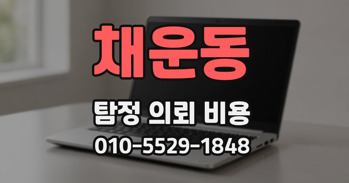 채운동 탐정 의뢰 비용