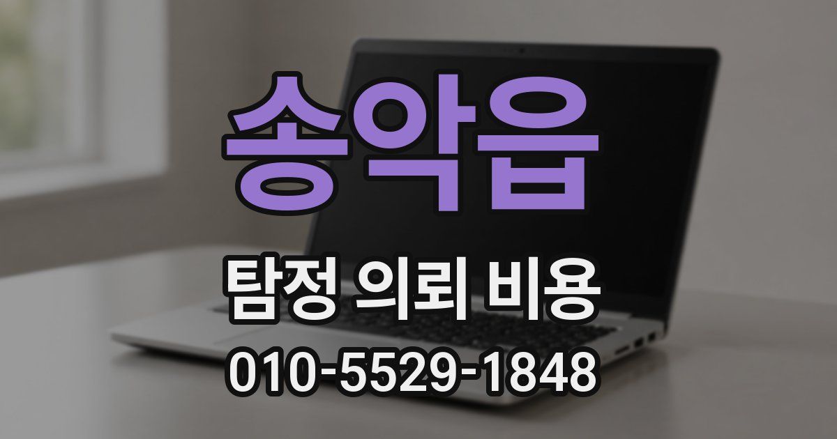 송악읍 탐정 의뢰 비용