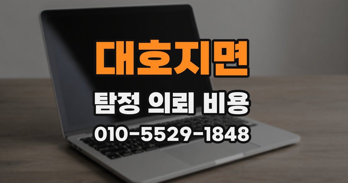 대호지면 탐정 의뢰 비용