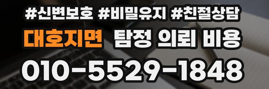 대호지면 탐정 의뢰 비용
