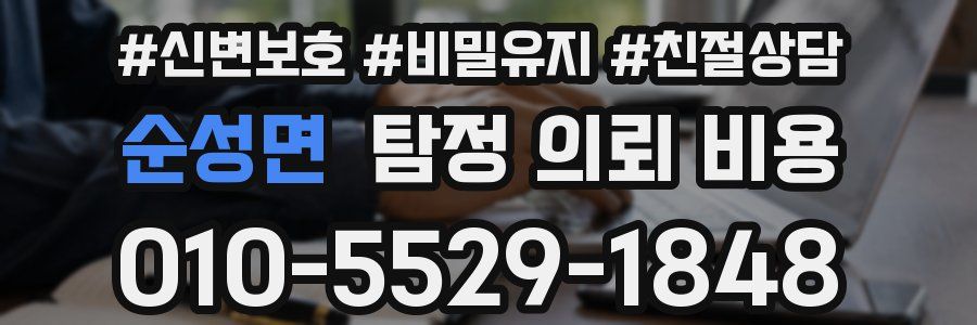 순성면 탐정 의뢰 비용