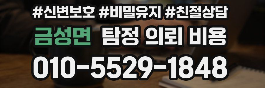 금성면 탐정 의뢰 비용