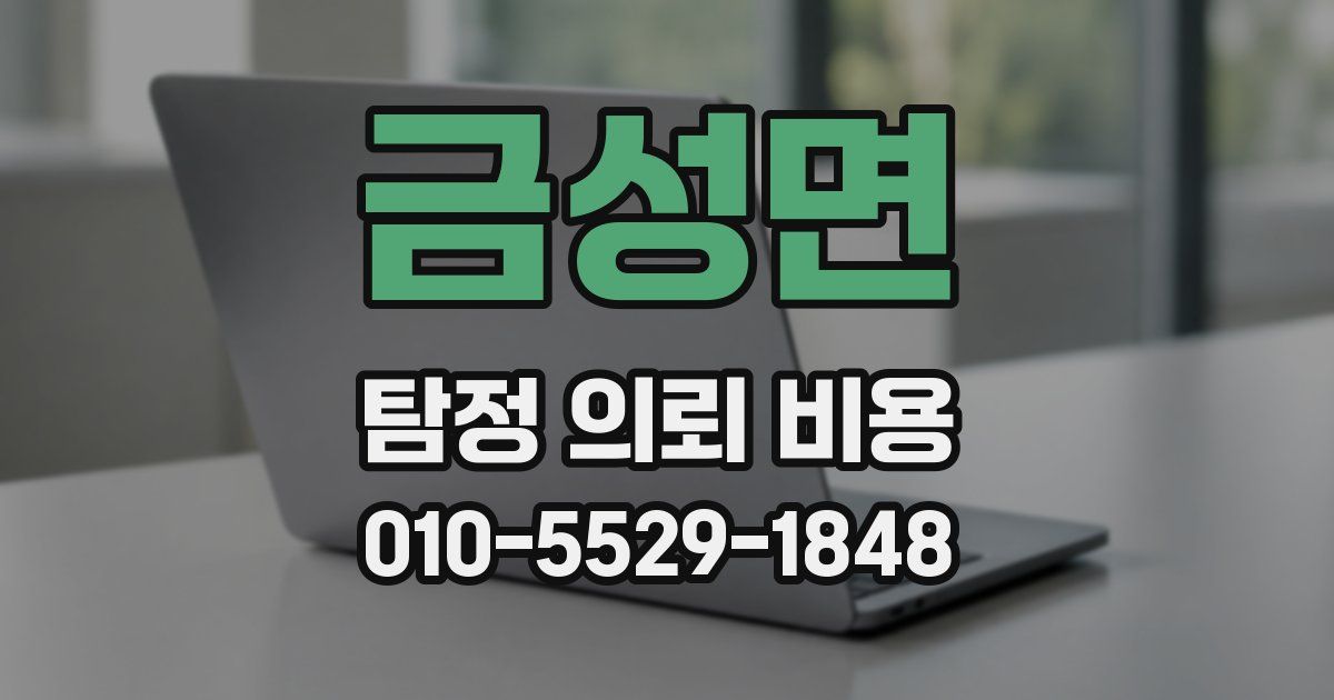 금성면 탐정 의뢰 비용