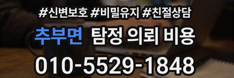추부면 탐정 의뢰 비용