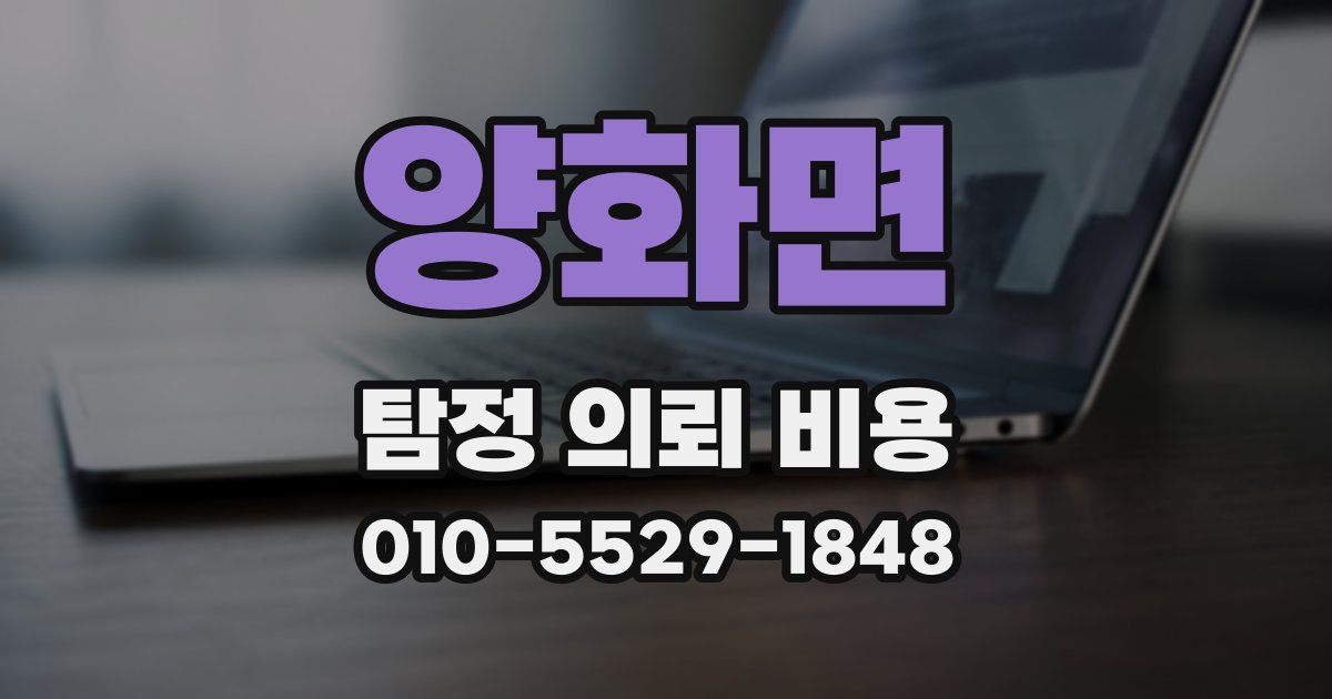 양화면 탐정 의뢰 비용