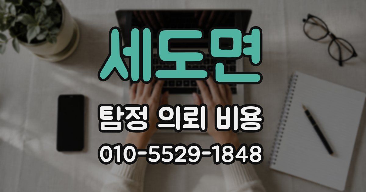 세도면 탐정 의뢰 비용