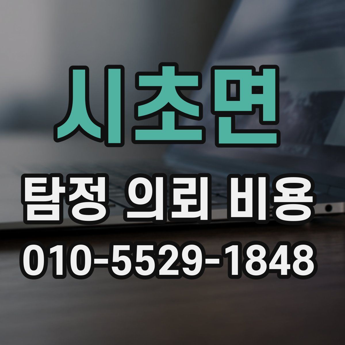 시초면 탐정 의뢰 비용