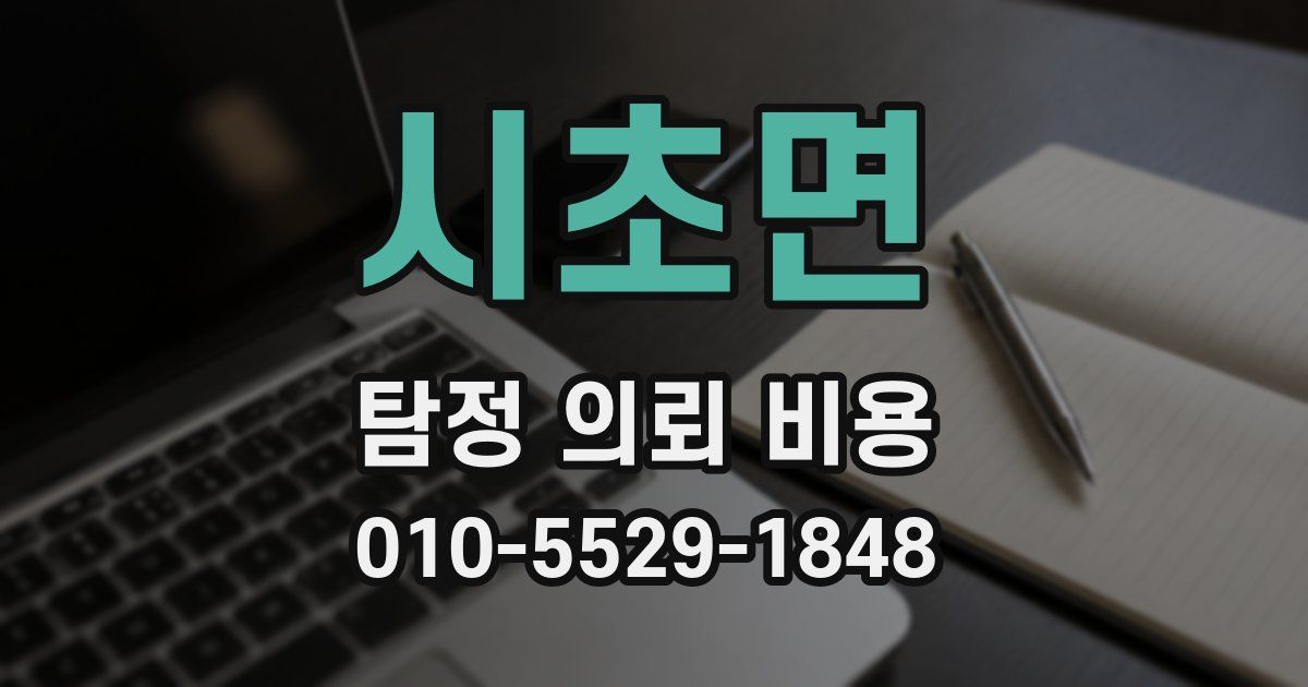 시초면 탐정 의뢰 비용