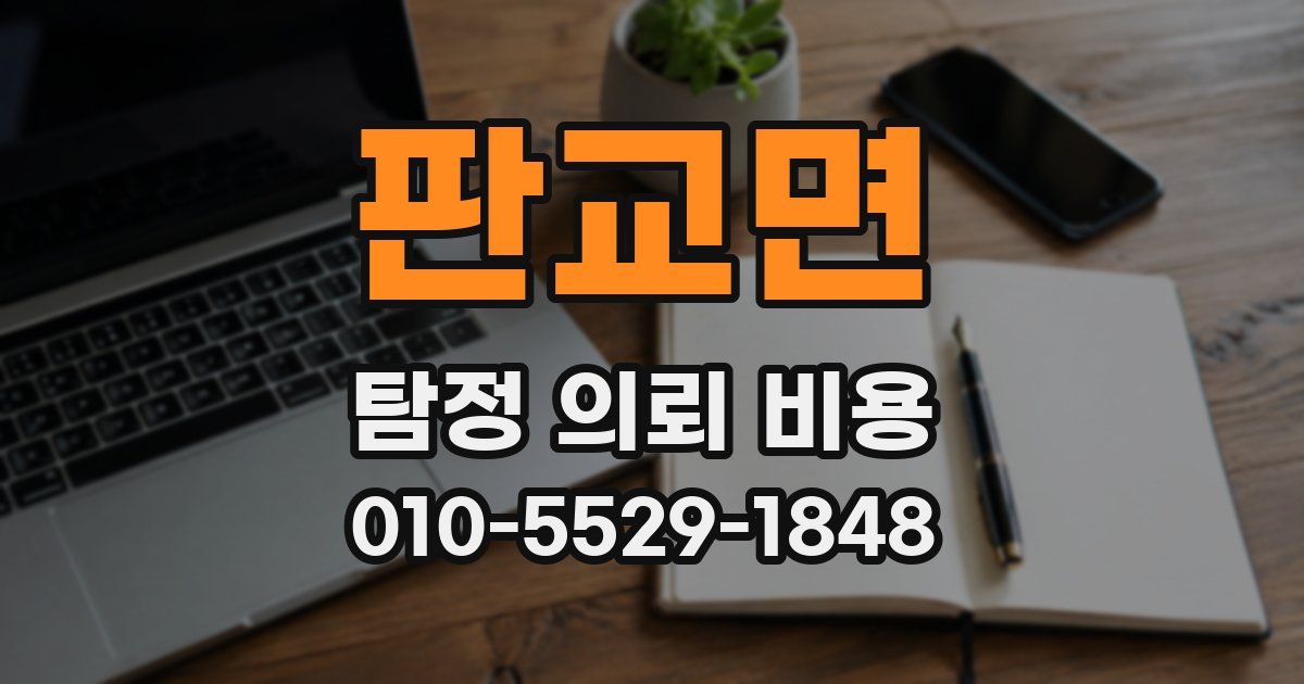 판교면 탐정 의뢰 비용