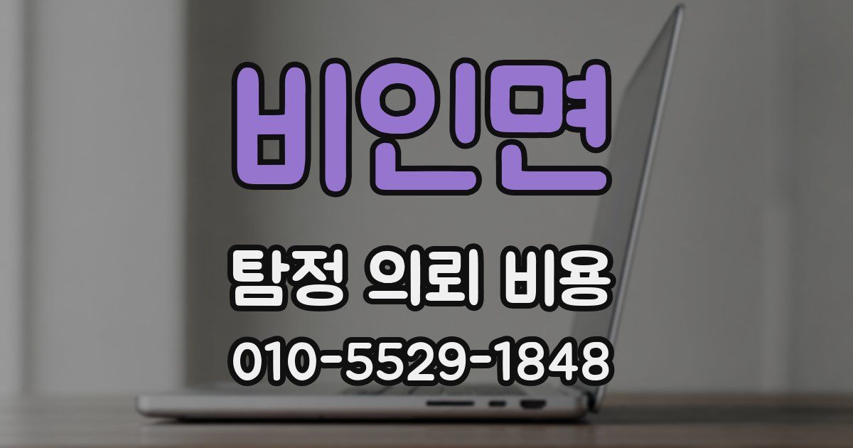 비인면 탐정 의뢰 비용