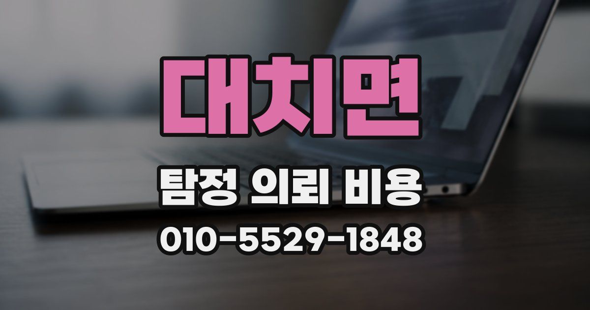 대치면 탐정 의뢰 비용