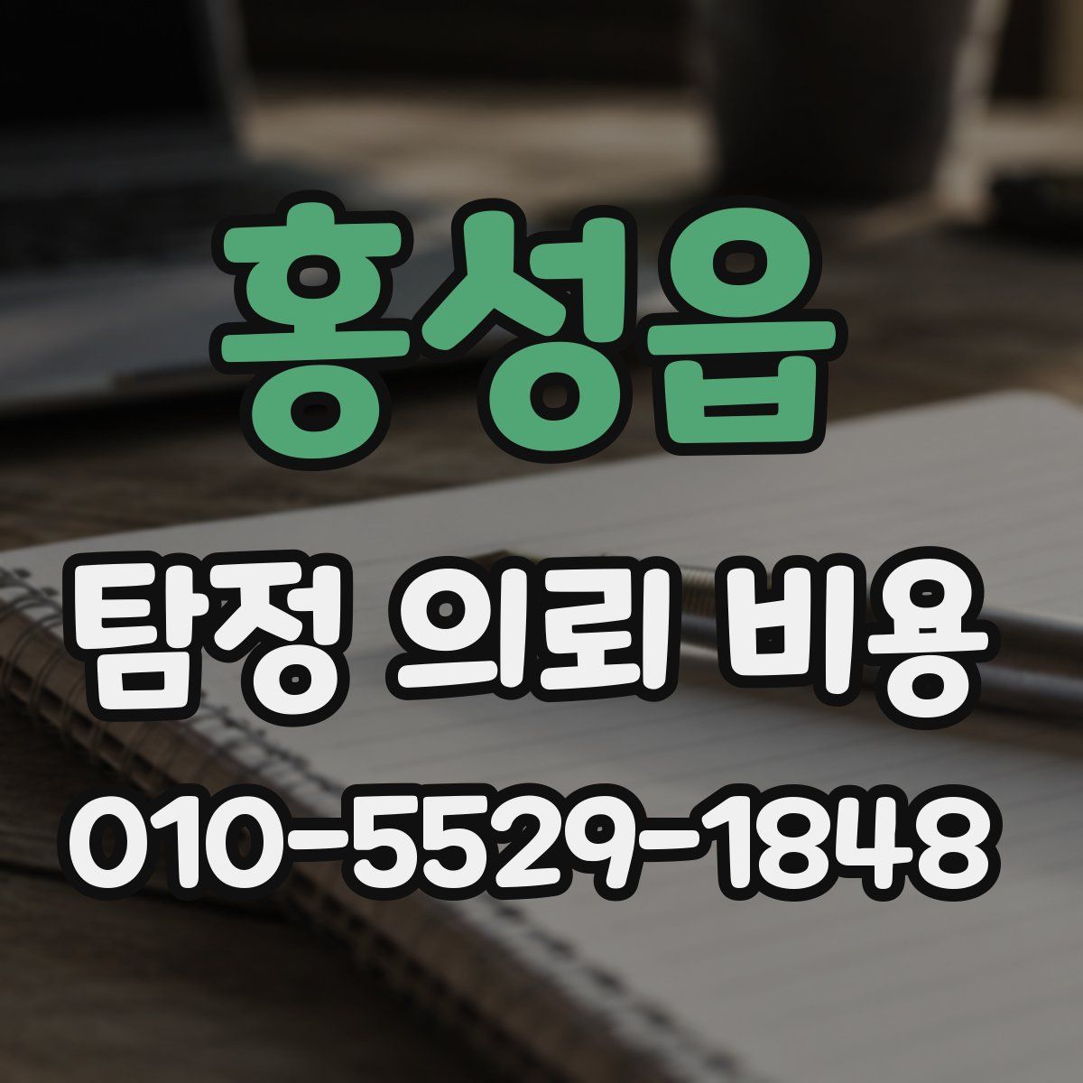 홍성읍 탐정 의뢰 비용