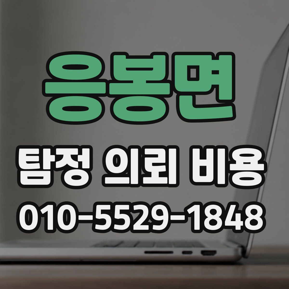 응봉면 탐정 의뢰 비용