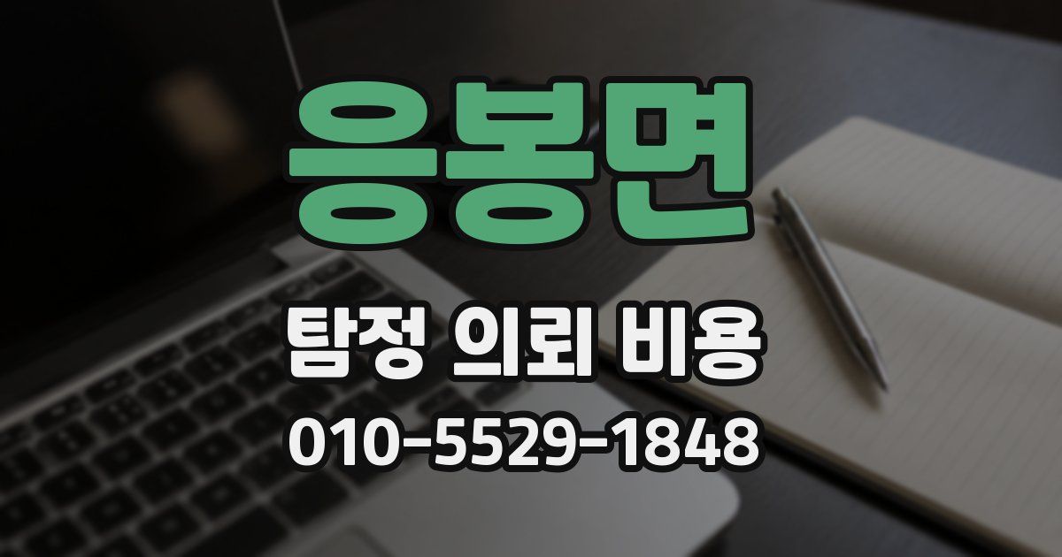 응봉면 탐정 의뢰 비용