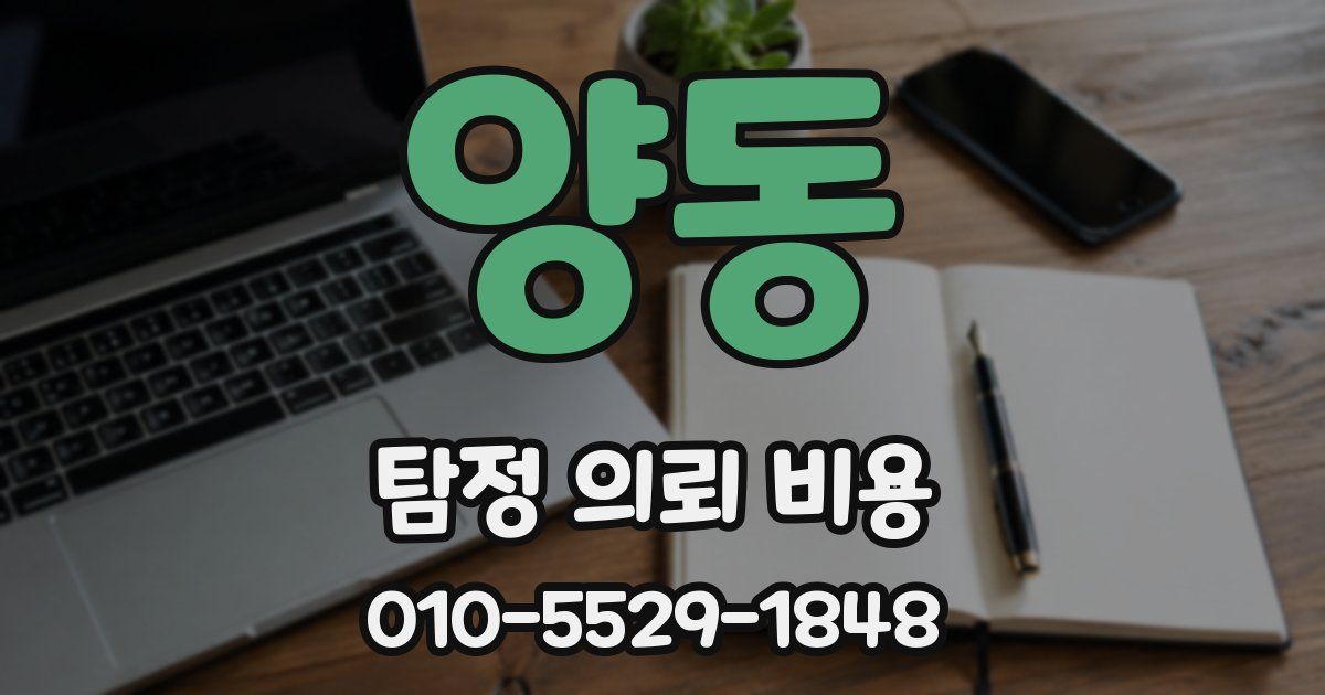 양동 탐정 의뢰 비용