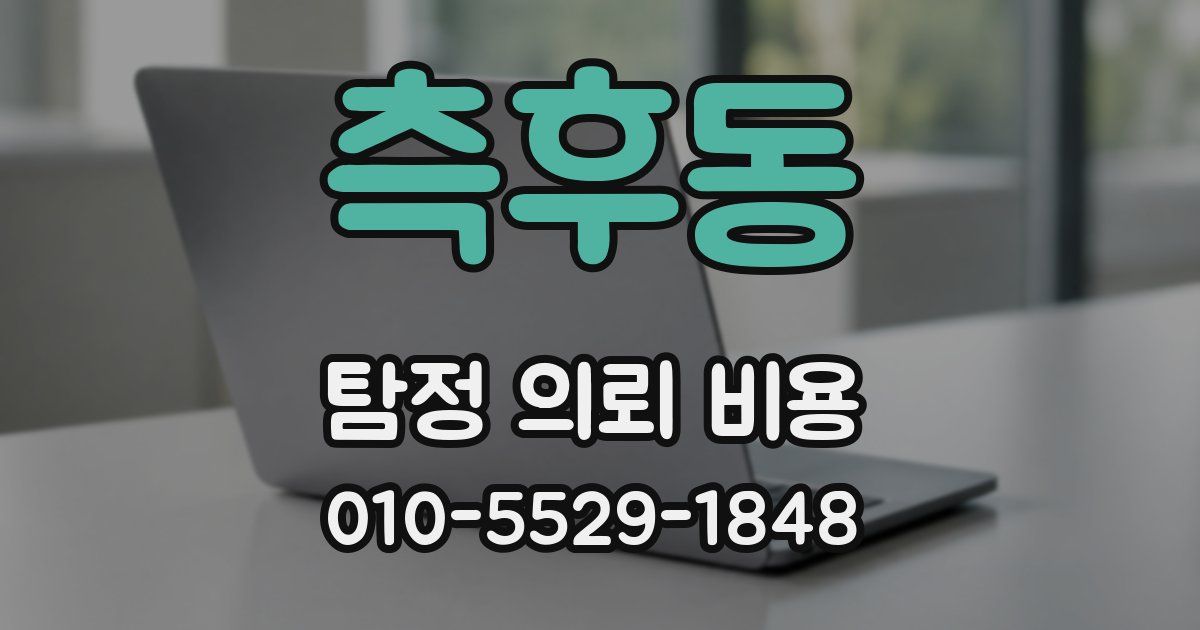 측후동 탐정 의뢰 비용