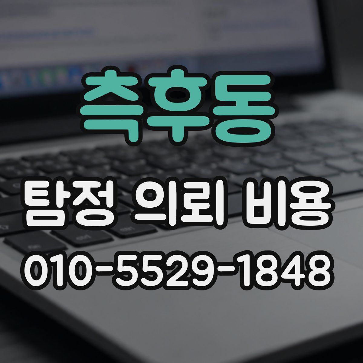 측후동 탐정 의뢰 비용